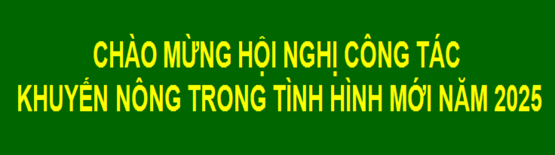 Chế biến thương mại